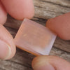 24.05ct Opalized Wood/Pipe Opal Rectangular