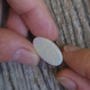 9.09ct Oval Cut Opal