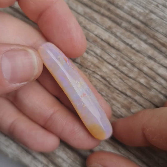 32.5ct Opalized Wood/Pipe Opal