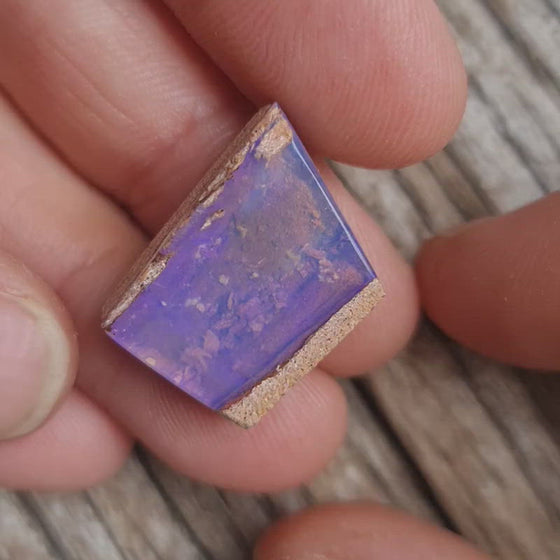 15.8ct Opalized Wood/Pipe Opal Free-form