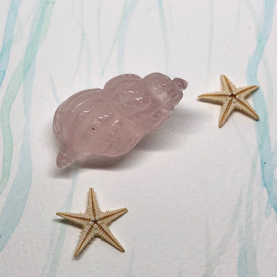  rose quartz sea shell carving 