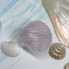  rose quartz sea shell carving 