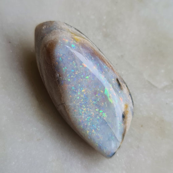 48.10ct Polished Opalized Shell