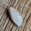 48.10ct Polished Opalized Shell