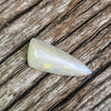 8.06ct Free-form White Opal