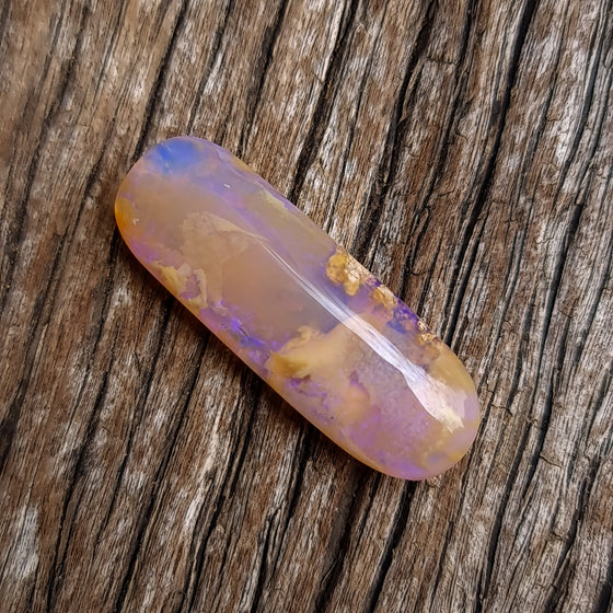 24.13ct Opalized Wood/Pipe Opal