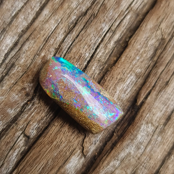 8.38ct Opalized Wood/Pipe Opal