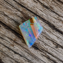  4.21ct Opalized Wood/Pipe Opal Free Form