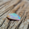 5.80ct Opalized Wood/Pipe Opal Trapezoid Shape