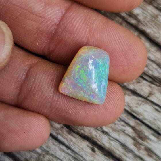 5.80ct Opalized Wood/Pipe Opal Trapezoid Shape