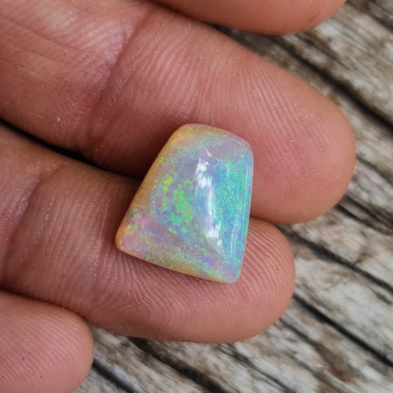 5.80ct Opalized Wood/Pipe Opal Trapezoid Shape