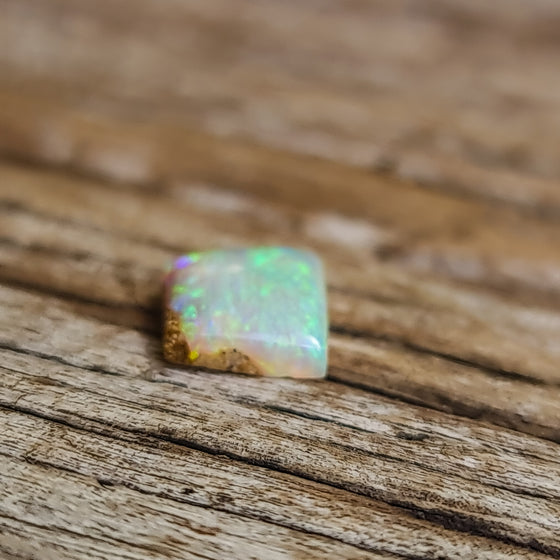 2.49ct Free-form Opalized Wood/Pipe Opal