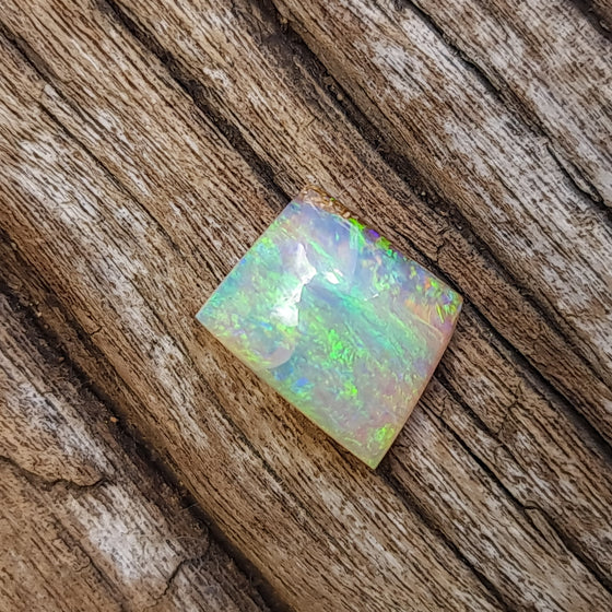 2.49ct Free-form Opalized Wood/Pipe Opal