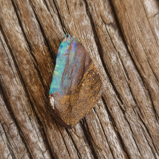 6.50ct Freeform Opalized Wood/Pipe Opal