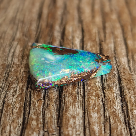 12.93ct Opalized Wood/Pipe Opal Trapezoid Shape