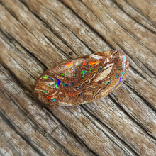  8.60ct Freeform Opalized Wood/Pipe Opal