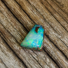  4.67ct Freeform Opalized Wood/Pipe Opal