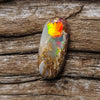 2.80ct Oval Opalized Wood/Pipe Opal