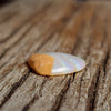 5.42ct Freeform Pipe Opal