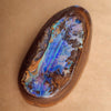 278g Polished Opal Specimen