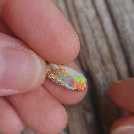 2.80ct Oval Opalized Wood/Pipe Opal