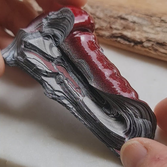 31.6g Fordite Rough (Modern)