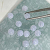 A set of 12 pieces of .6mm round cabs, pale blue Lace Agate. Suitable for rings.