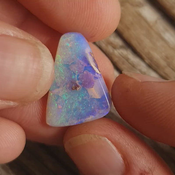 7.05ct Opalized Wood/Pipe Opal Free Form