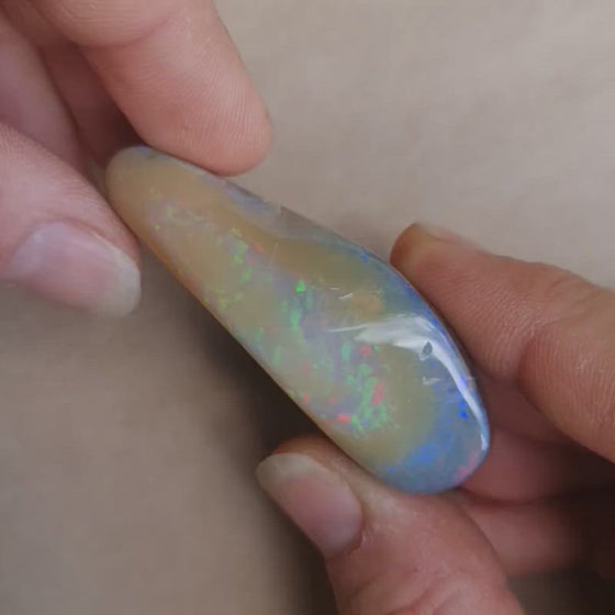 63g Polished Opal Specimen