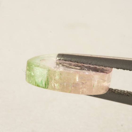 5.90ct Watermelon Tourmaline Slice