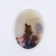  29x21mm Top Grade Indian Picture Agate