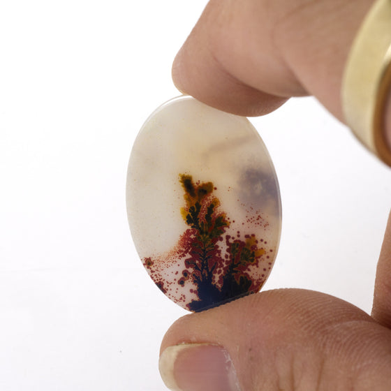 29x21mm Top Grade Indian Picture Agate