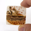 32x32mm Top Grade Indian Picture Agate