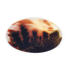  31x19mm Top Grade Indian Picture Agate