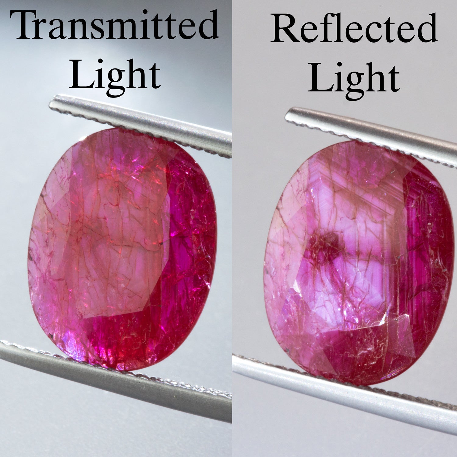 3.85ct Flat Oval Cut Ruby (with silk pattern) : Lawson Gems - Rough and ...
